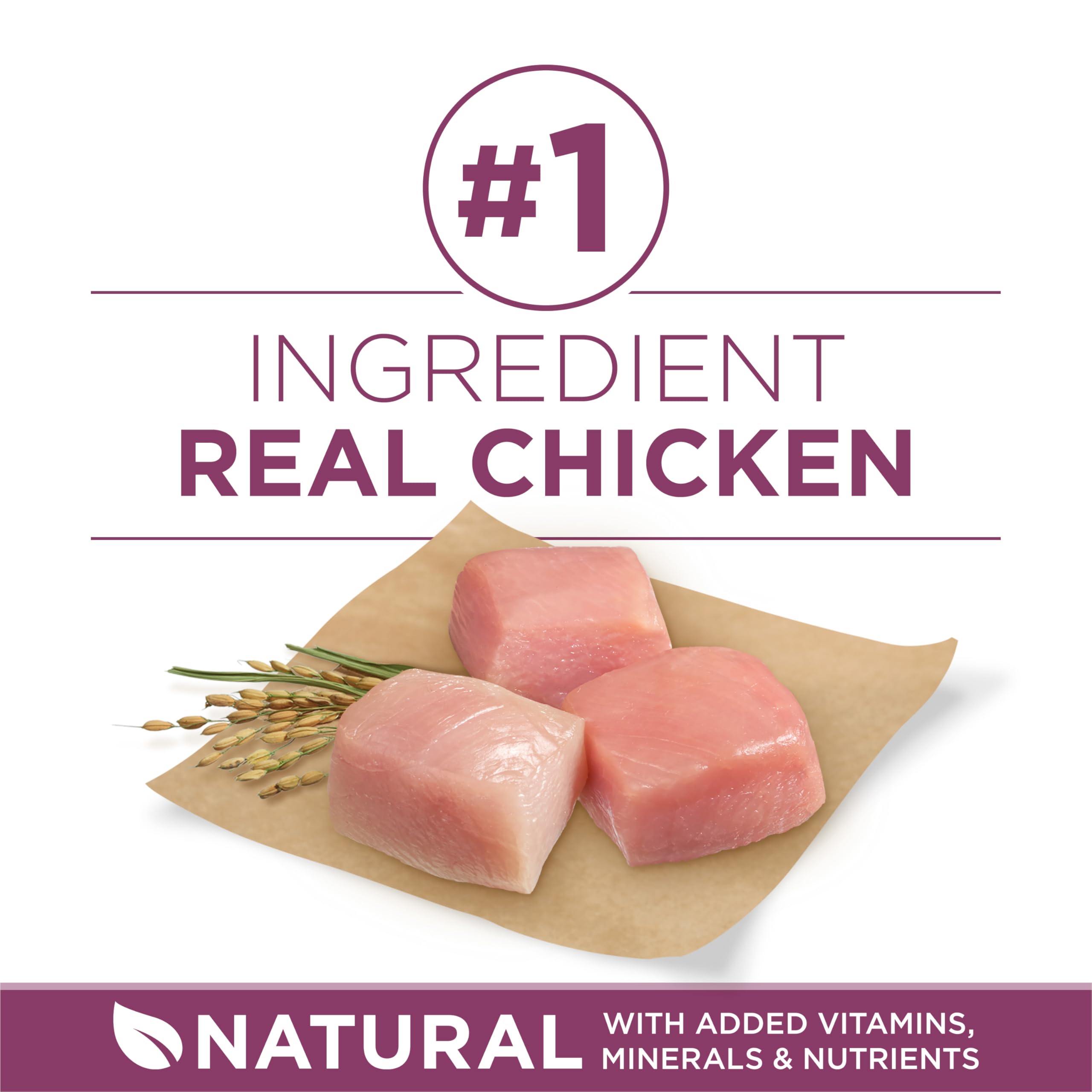 Purina ONE Plus Healthy Puppy chicken-first ingredient signals protein for growing muscles