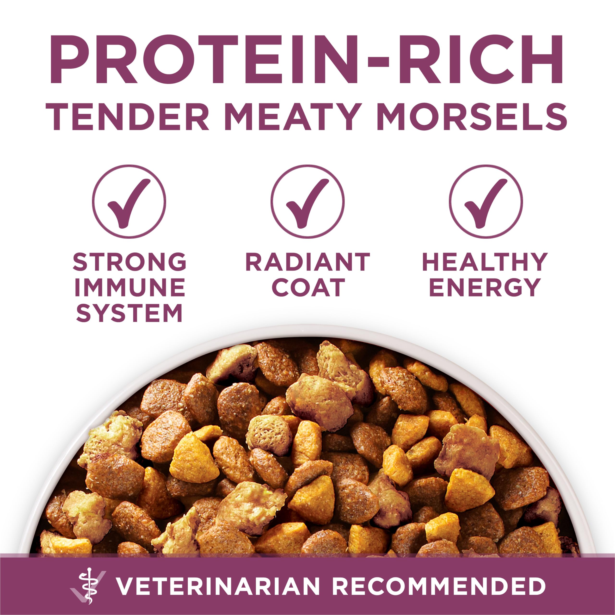 Purina ONE Plus Healthy Puppy crunchy kibble with calcium for teeth