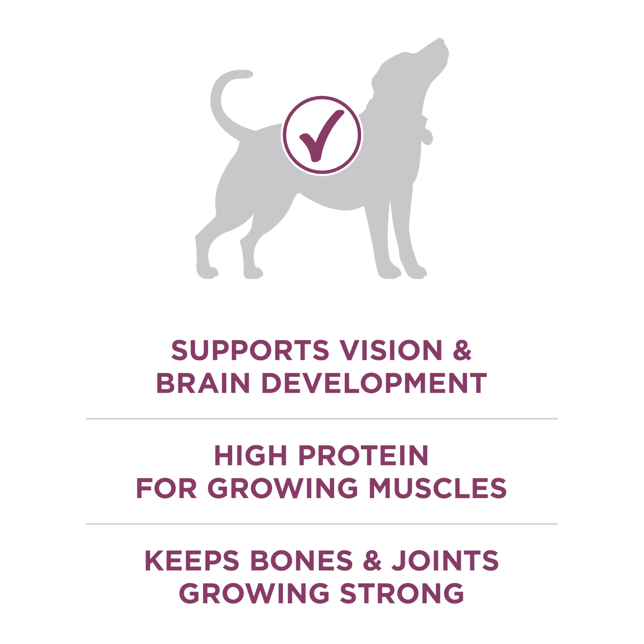 Purina ONE Plus Healthy Puppy DHA for brain and vision development