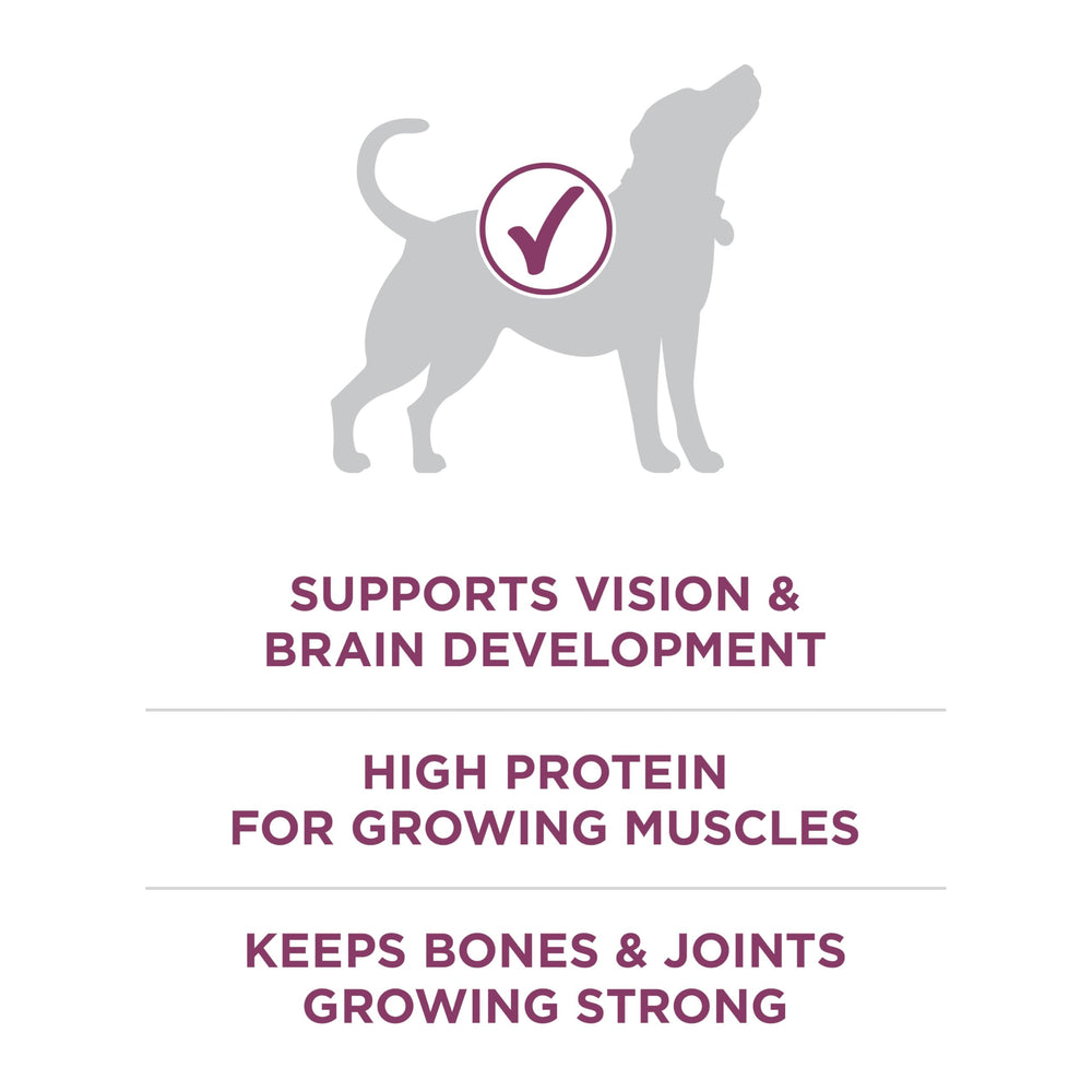 Purina ONE Plus Healthy Puppy DHA for brain and vision development