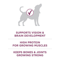Purina ONE Plus Healthy Puppy DHA for brain and vision development