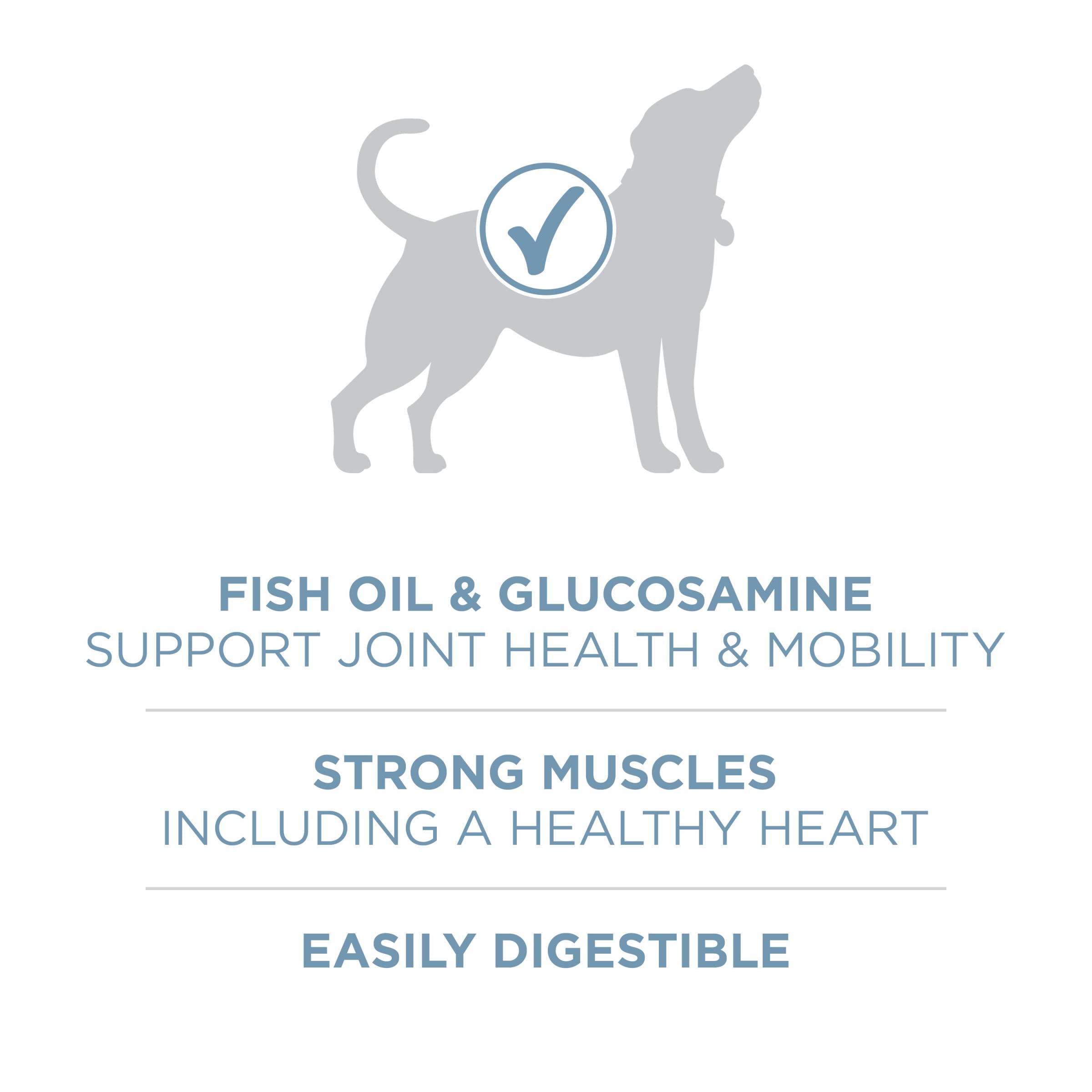 Purina ONE Plus high-protein formula supports strong muscles and heart.