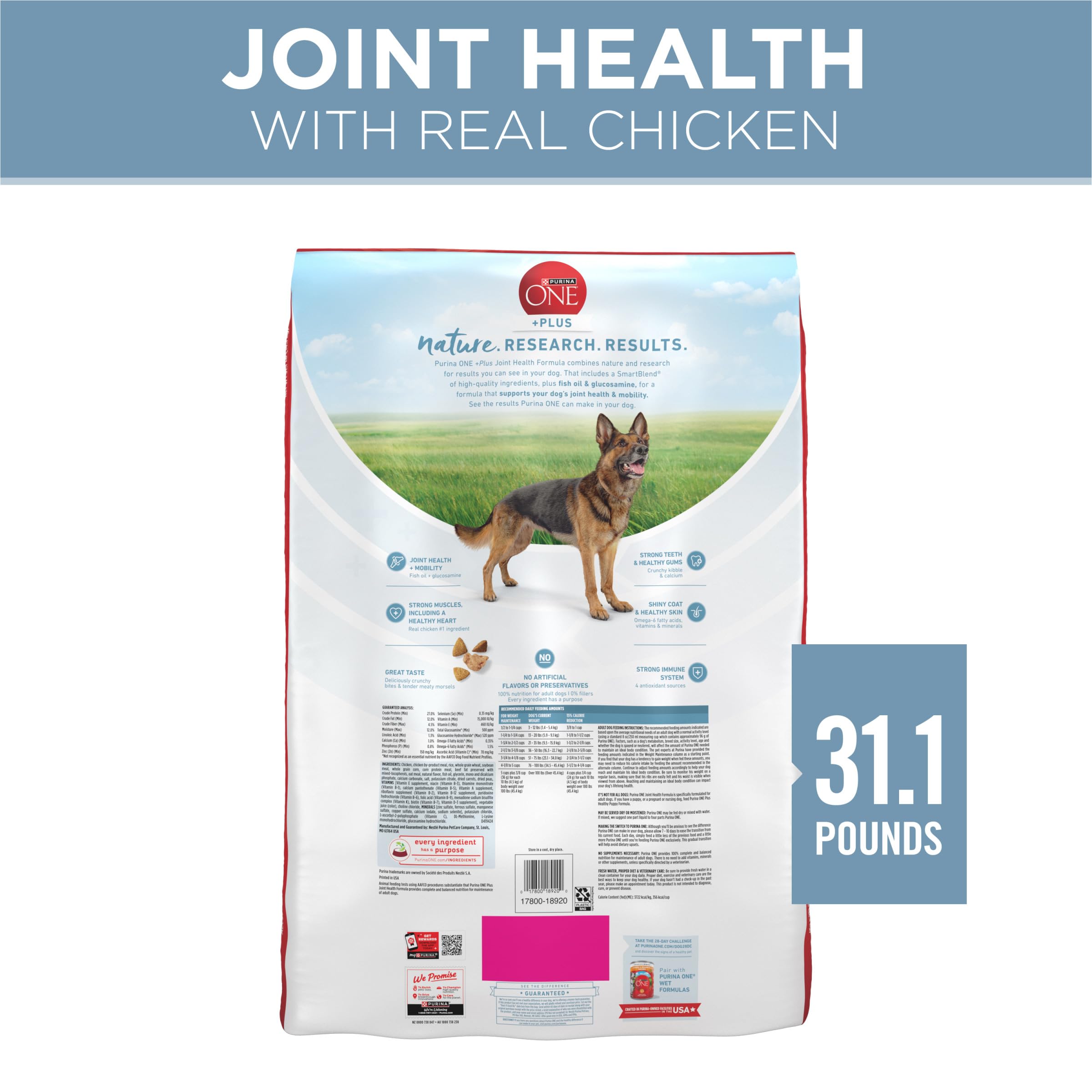 Purina ONE Plus Joint Health Formula antioxidant sources shown for immune support in dogs.