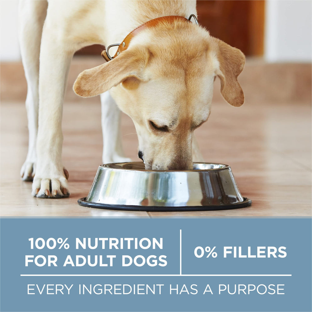 Purina ONE Plus Joint Health Formula coat-boost omega-6 image suggests shiny skin benefits.
