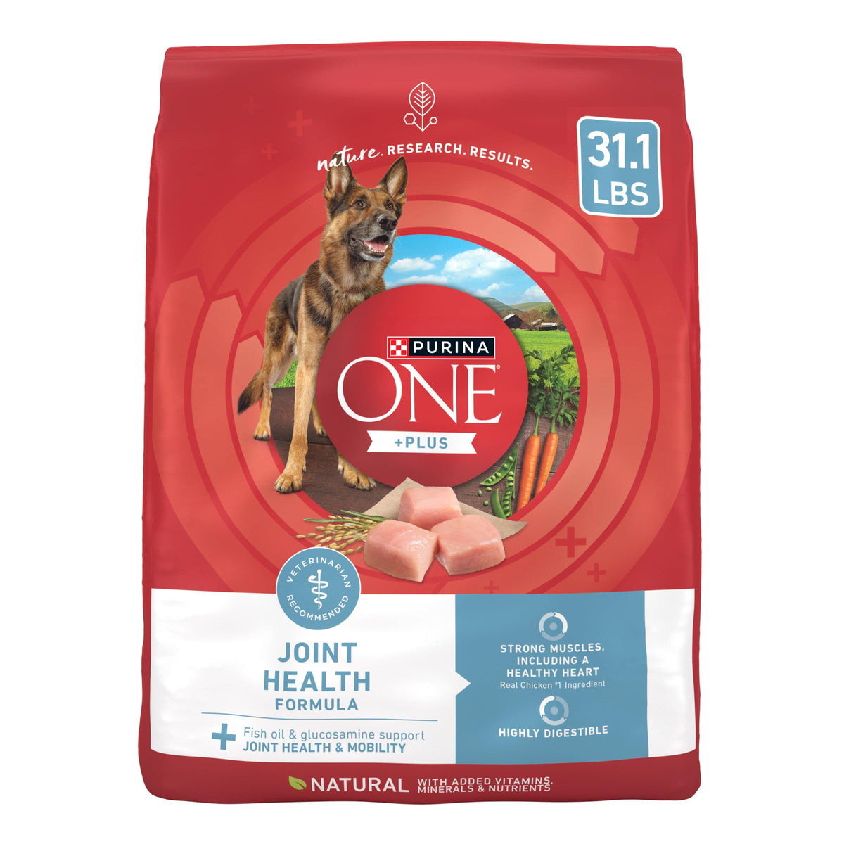 Purina ONE Plus Joint Health Formula bag front highlighting joint-support nutrition for active dogs.