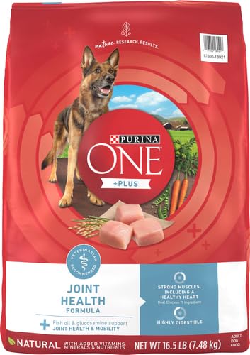 Purina ONE Plus omega-6 promotes shiny coat and healthy skin.