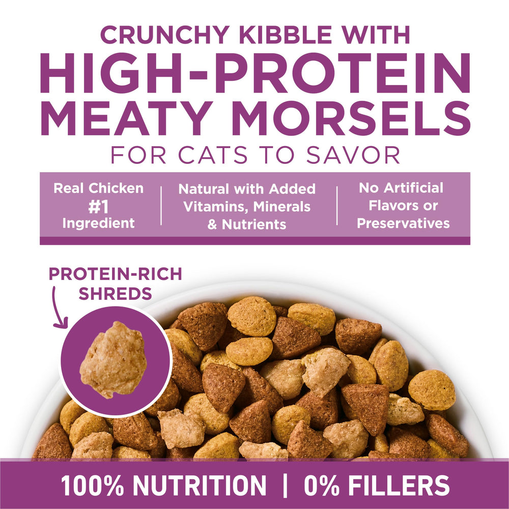 Purina ONE Plus taurine chat — soutien du cœur et des muscles