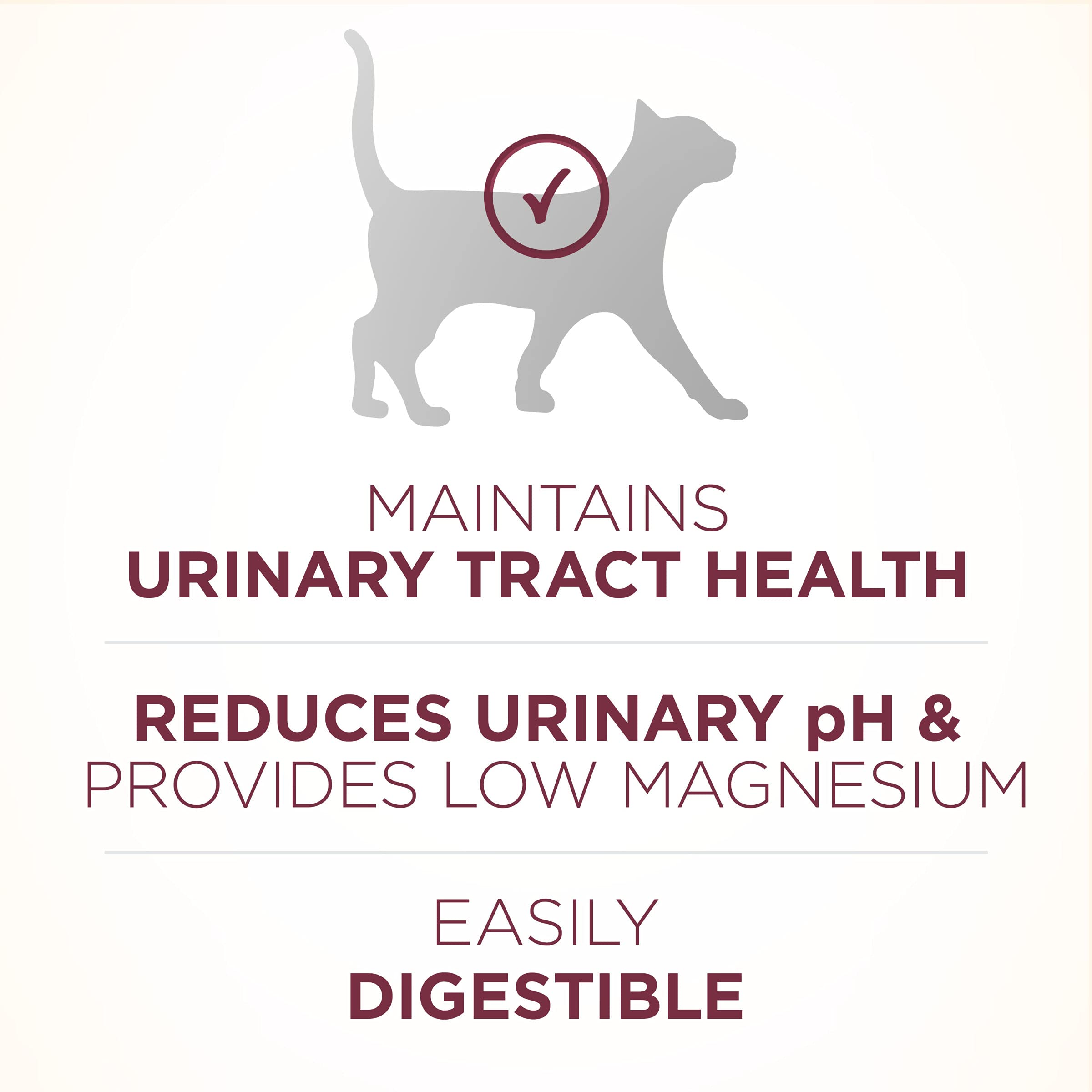 Purina ONE Real Chicken kibble close-up highlighting protein for muscles and heart.