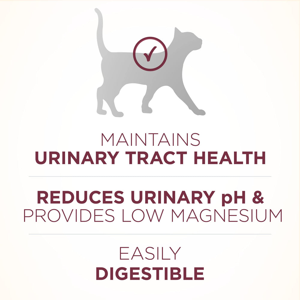 Purina ONE Real Chicken kibble close-up highlighting protein for muscles and heart.