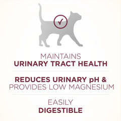 Purina ONE Real Chicken kibble close-up highlighting protein for muscles and heart.
