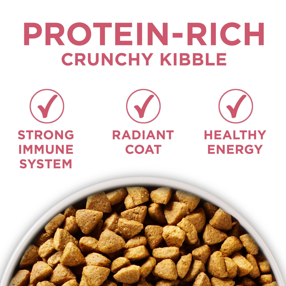 Purina ONE sans colorants ni conservateurs artificiels