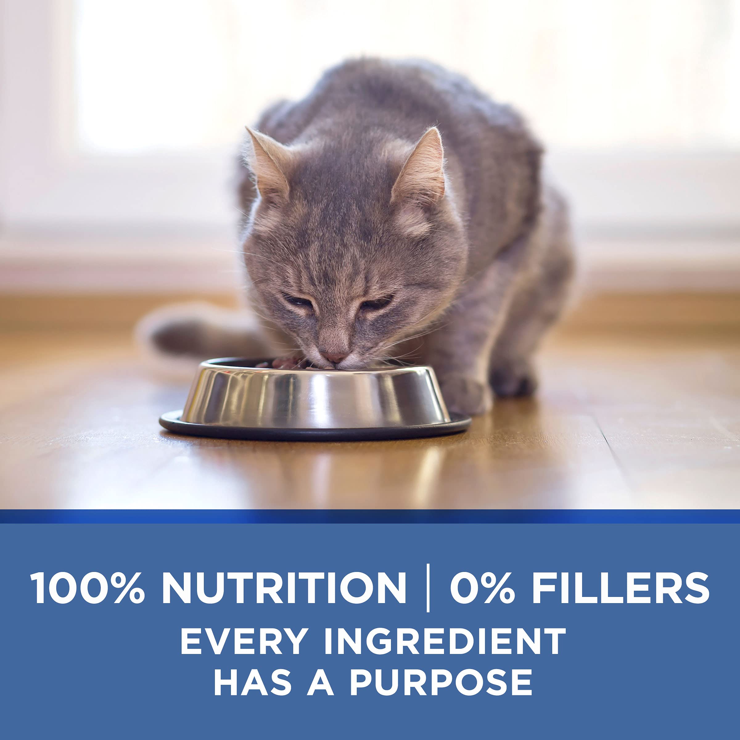 Purina ONE Senior hydration support shows moist formula.