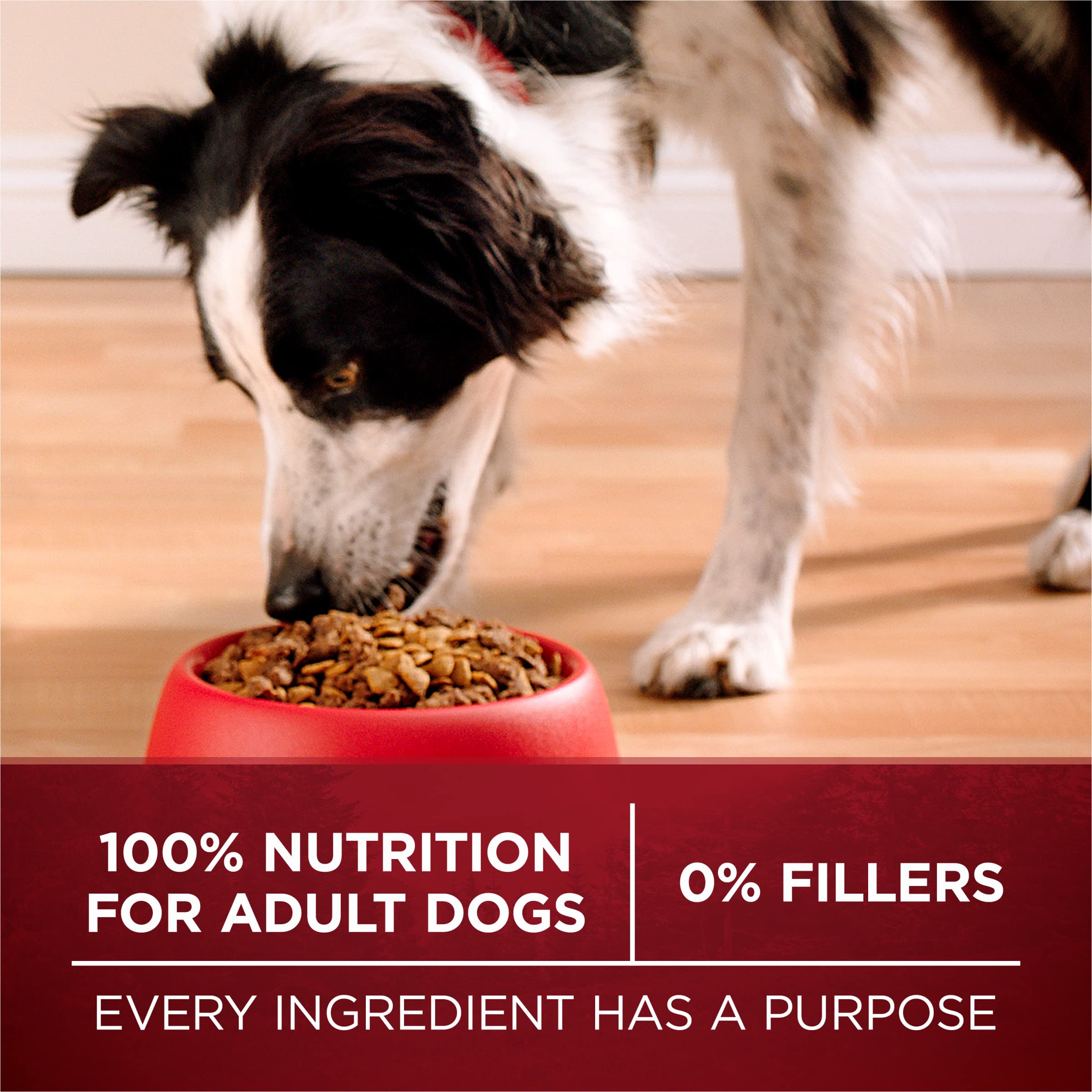 Purina ONE True Instinct no fillers communicates 100 percent nutrition