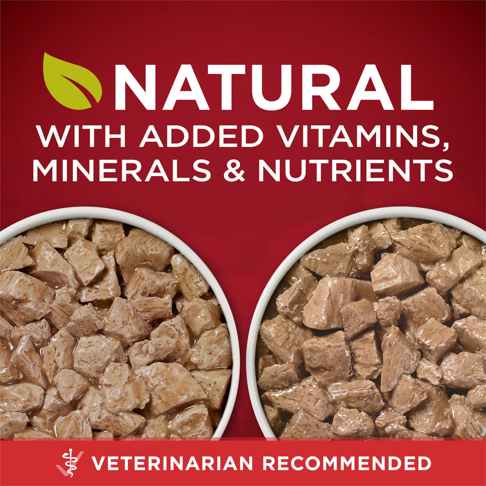 Purina ONE True Instinct variety pack displays two recipes chicken-duck and turkey-venison
