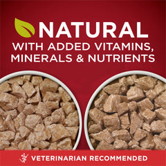 Purina ONE True Instinct variety pack displays two recipes chicken-duck and turkey-venison