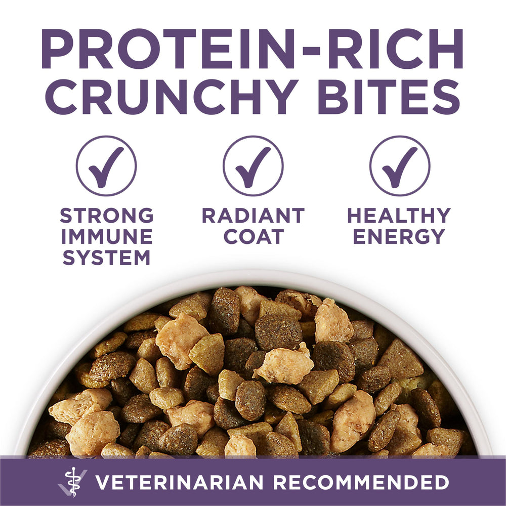 Purina ONE Vibrant Maturity coat and skin shine from omega-6.
