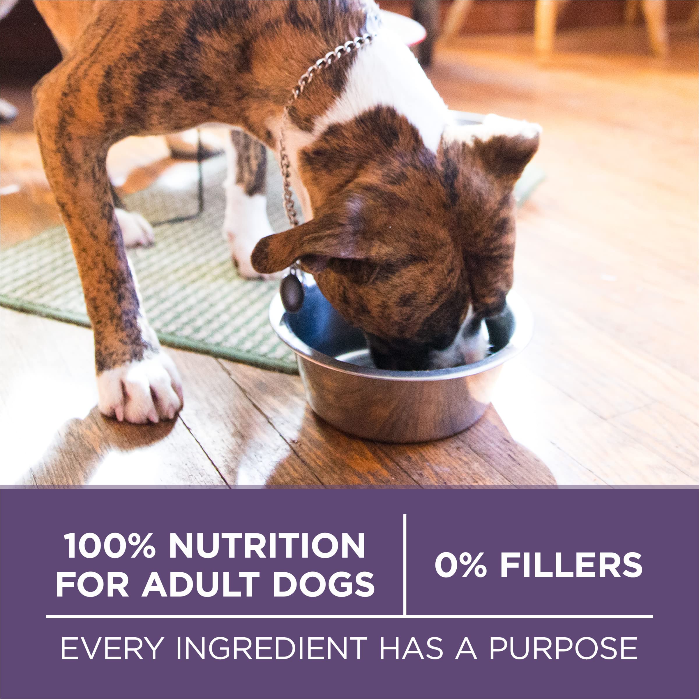 Purina ONE Vibrant Maturity crunchy bites and tender morsels for taste.