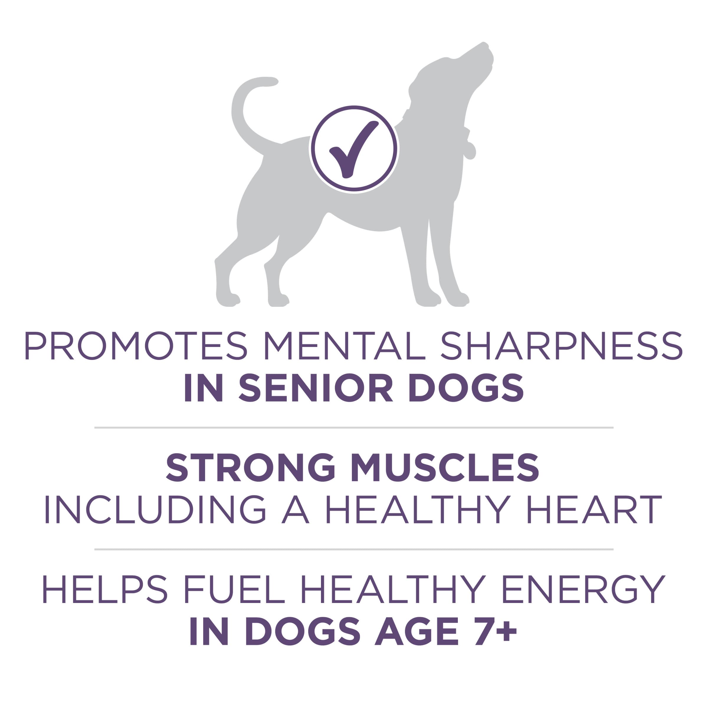 Purina ONE Vibrant Maturity shows real chicken as first ingredient.
