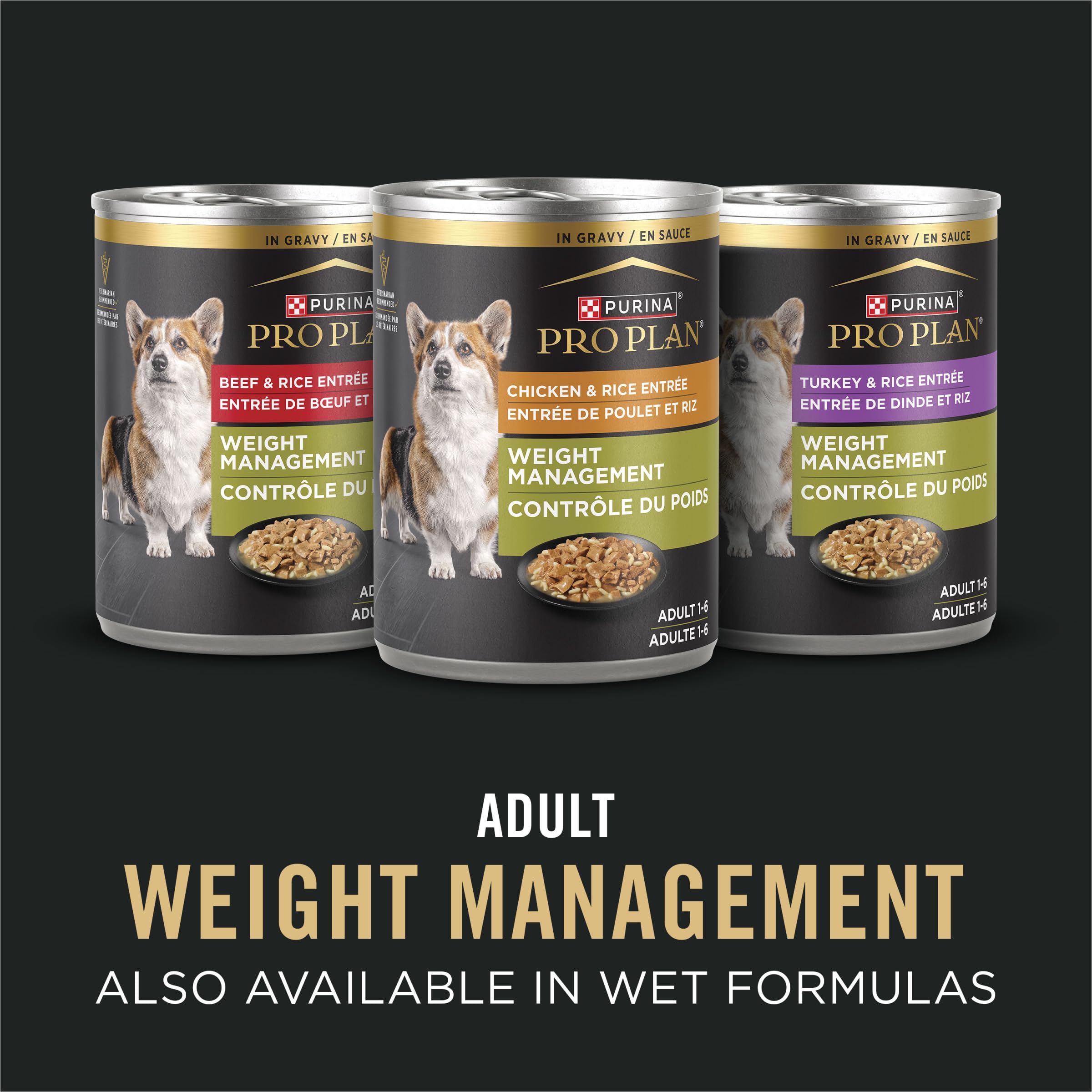 Purina Pro Plan omega-6 and vitamin A image supports skin and coat health.