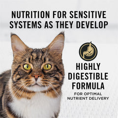 Purina Pro Plan Chat saumon et riz croquettes — texture croustillante et appétence élevée