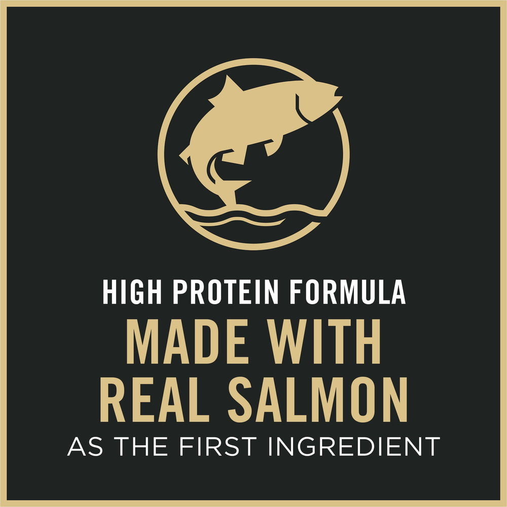 Purina Pro Plan Chat saumon et riz digestion douce — convient aux estomacs sensibles