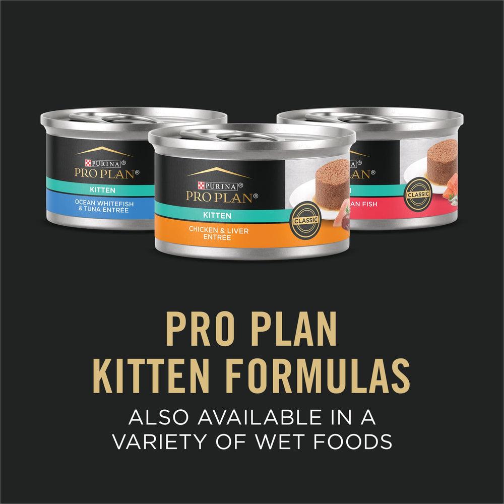 Purina Pro Plan Chaton Omega-6 peau poil: nutrition pour peau saine et pelage brillant