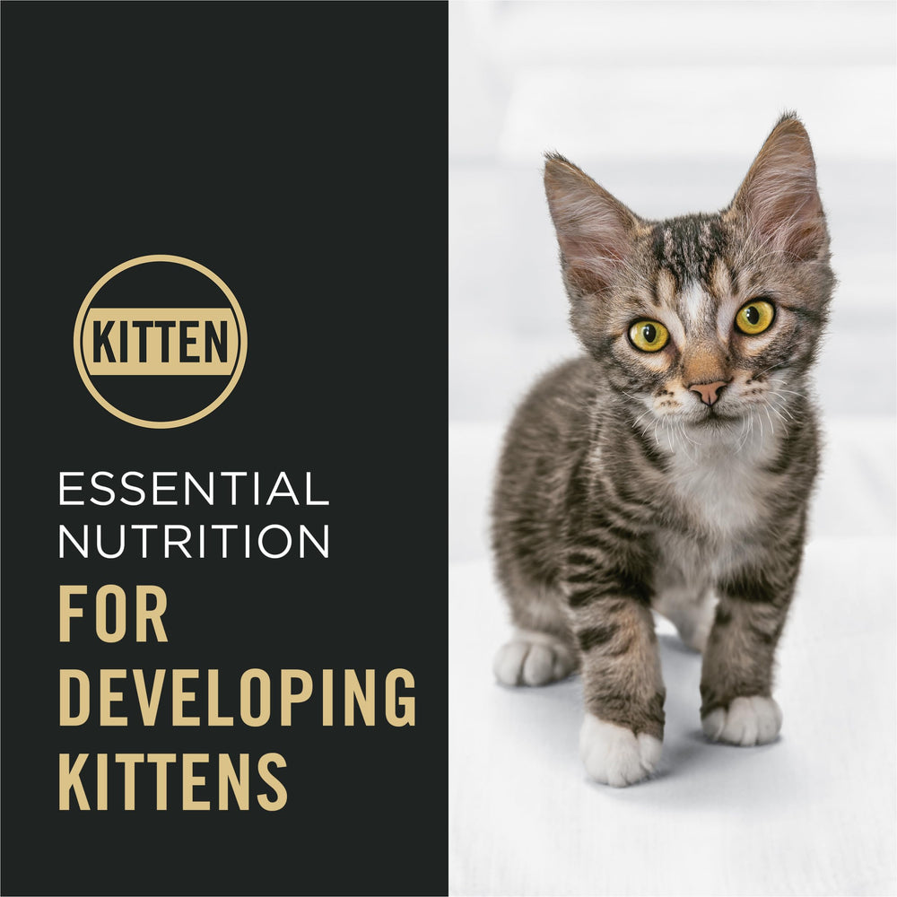 Purina Pro Plan Chaton poulet réel: ingrédient de qualité pour un goût riche
