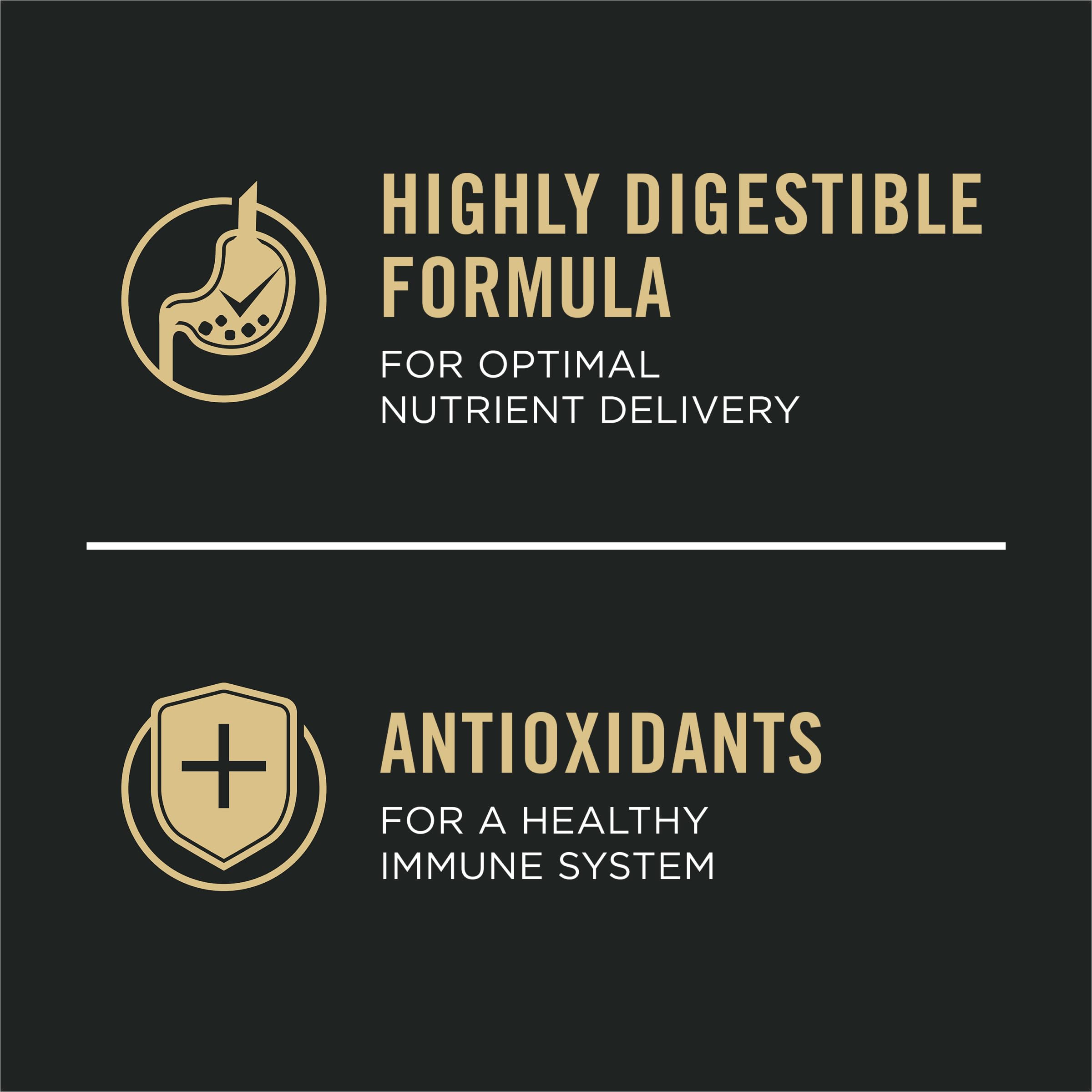 Rice-based carbohydrate detail indicating steady energy for daily activity.