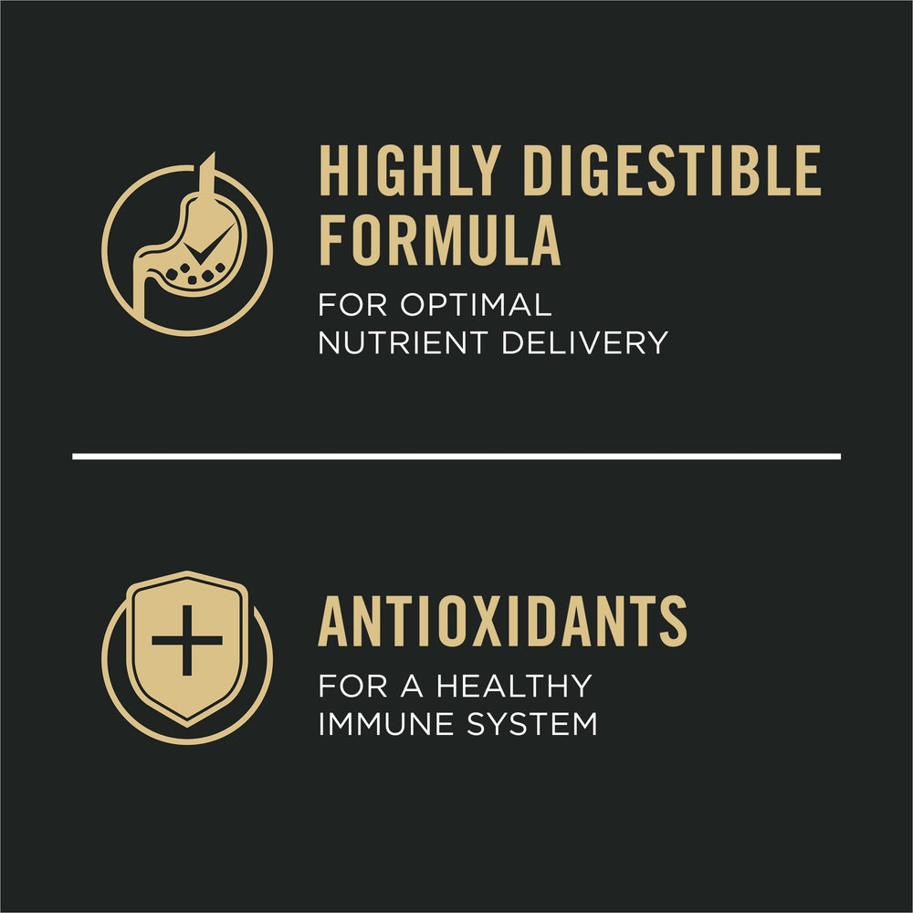 Rice-based carbohydrate detail indicating steady energy for daily activity.