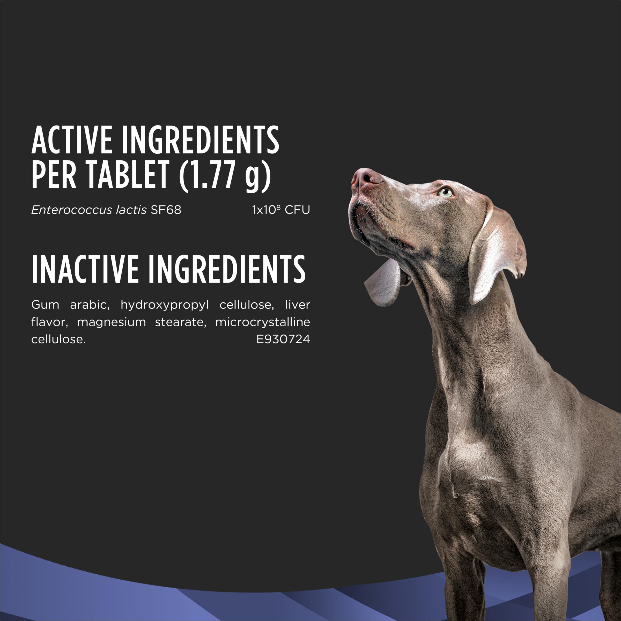 Dog meal with FortiFlora mixed into kibble