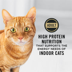 Purina Pro Plan close-up of kibble highlighting protein-rich bites.