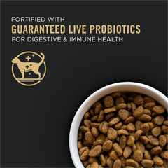 Purina Pro Plan LiveClear Senior Cat Food 7+ kibble close-up highlighting crunchy texture.