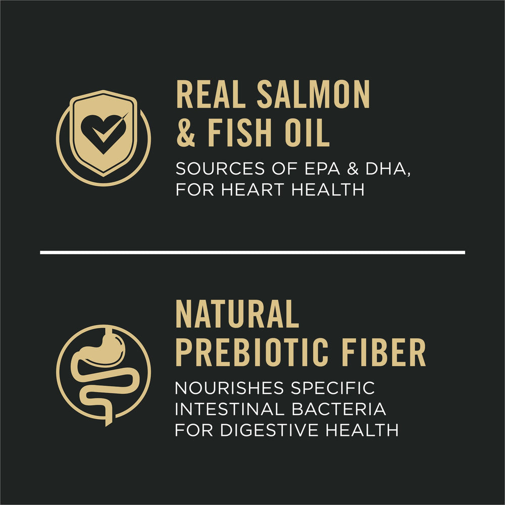 Purina Pro Plan Senior dog food salmon kibble close-up supports digestion