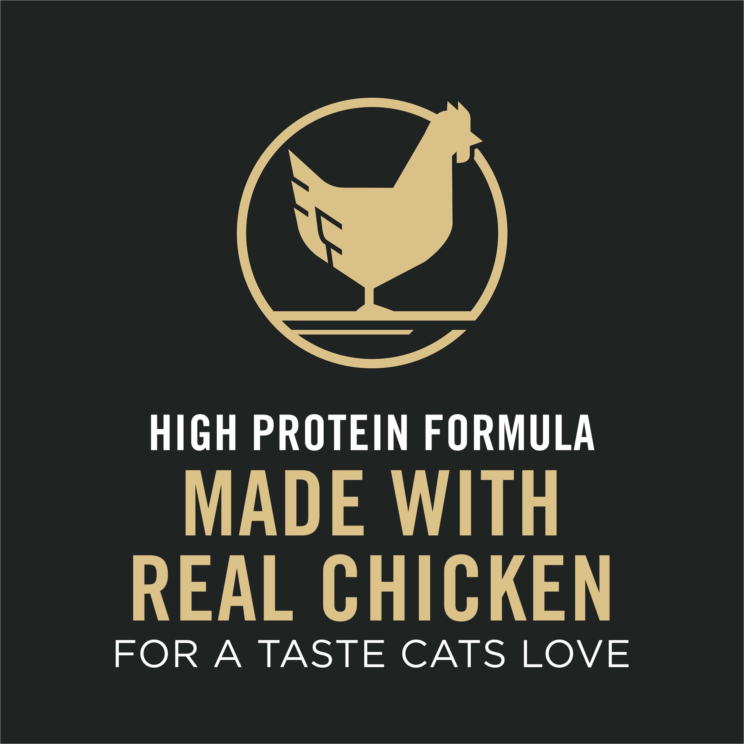 Purina Pro Plan Senior kibble close-up highlighting texture and aroma appeal.