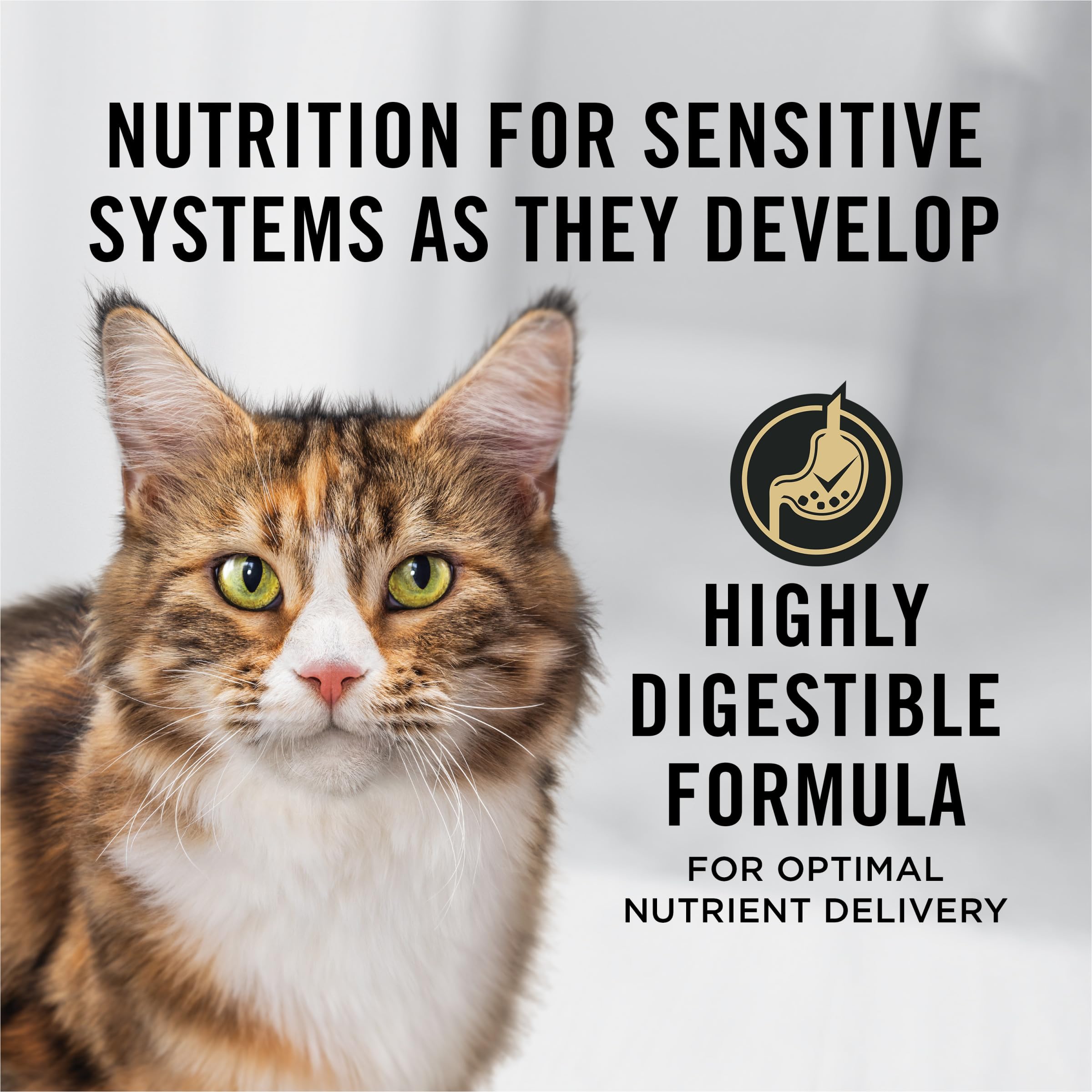Purina Pro Plan salmon rice bowl showcasing easy digestion for senior cats.
