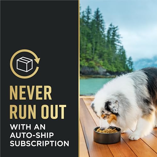 Purina Pro Plan Small Breed shredded chicken and rice formula in bowl