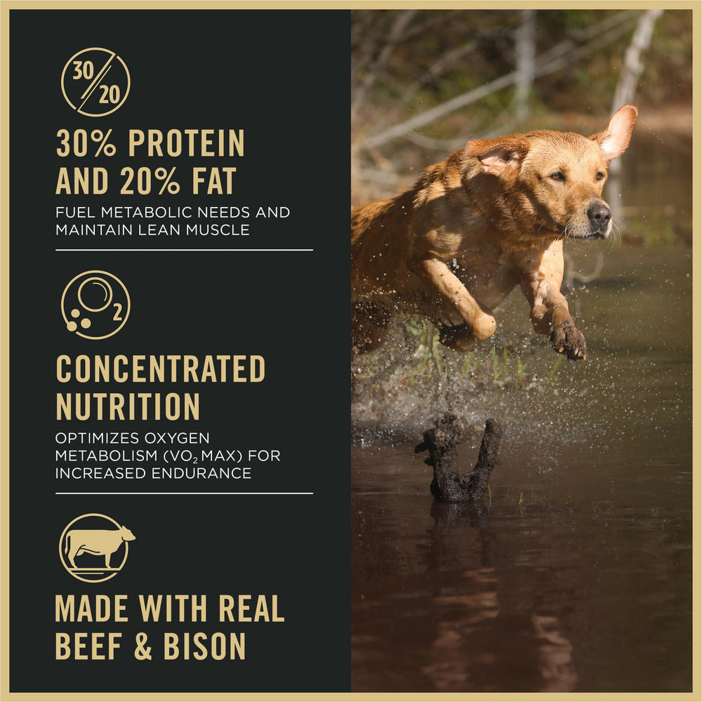 Purina Pro Plan Sport kibble close-up showing beef and bison for energy.