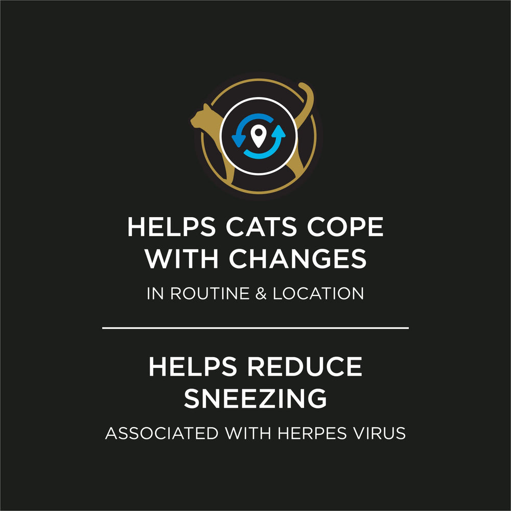 Purina Pro Plan BL999 powder easing pacing and anxious behaviors in cats