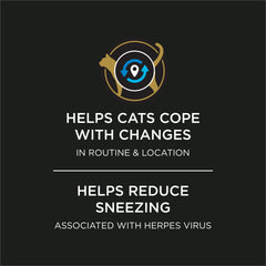 Purina Pro Plan BL999 powder easing pacing and anxious behaviors in cats