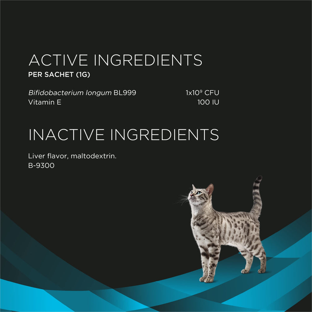 Purina Pro Plan calm-behavior scene with a playful cat