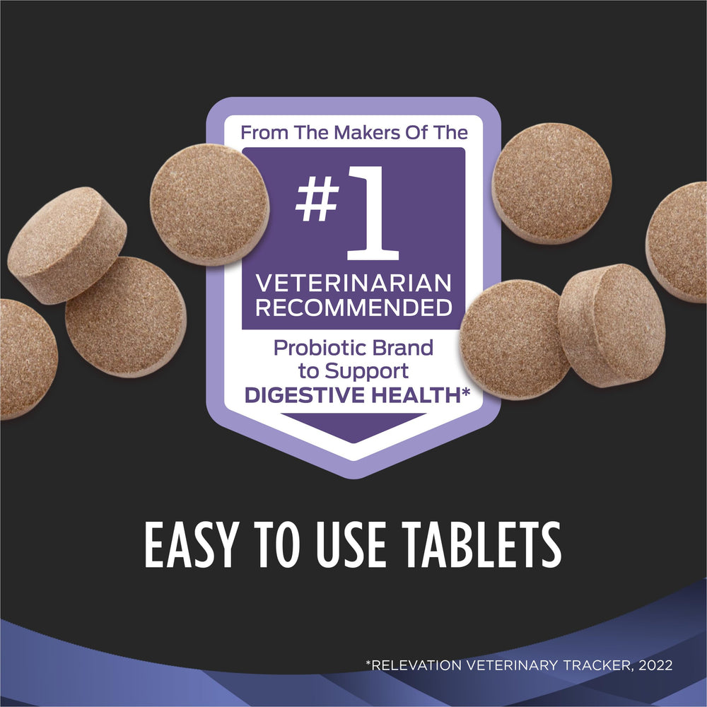 Purina FortiFlora canister with dog chewable tablets.