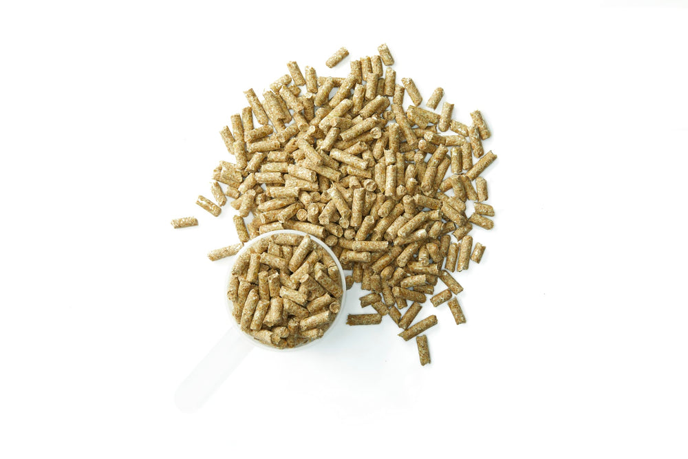 Purina Systemiq probiotic being stirred into horse feed for daily consumption