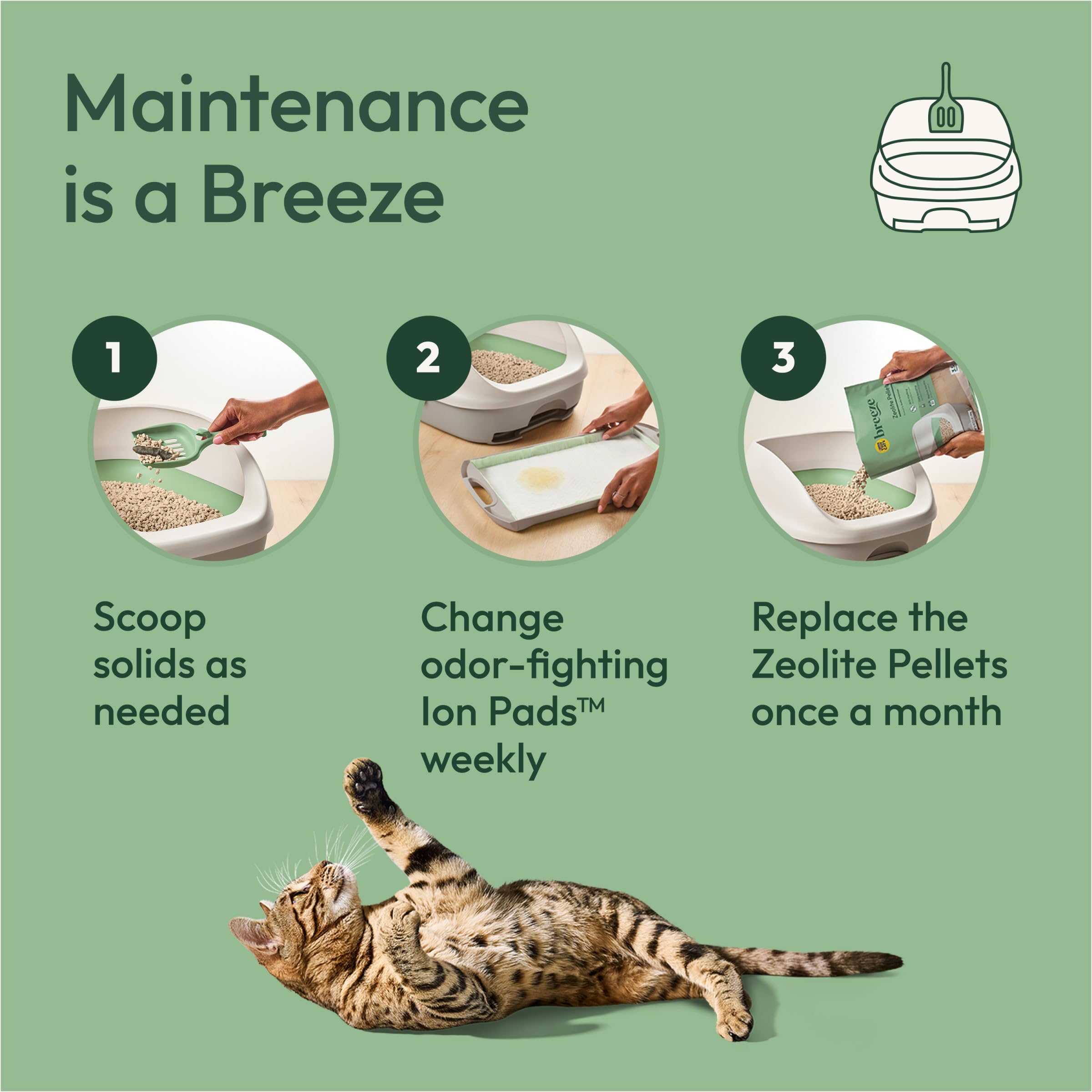 Purina Tidy Cats Breeze system in use, reducing litter mess.