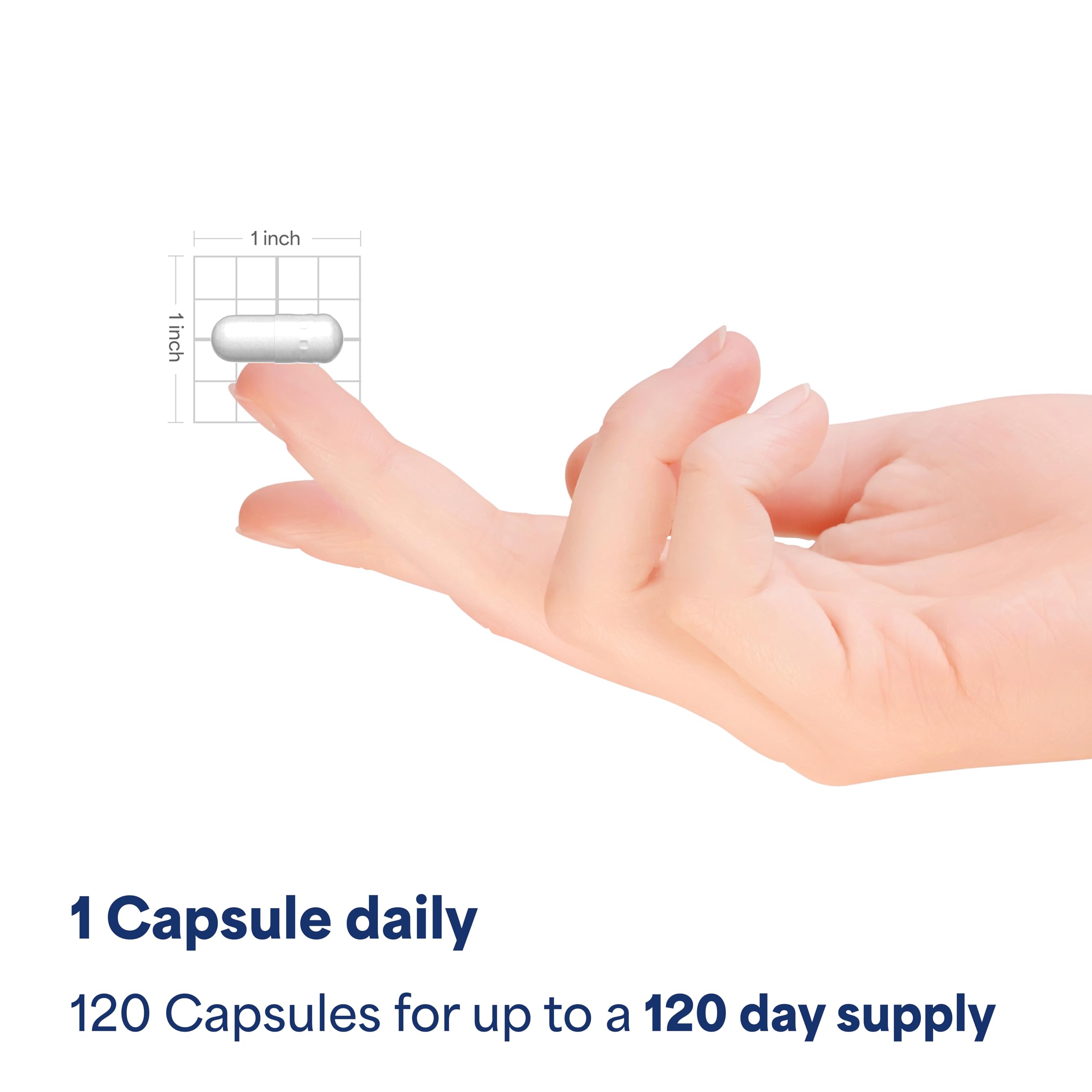 Puritan's Pride sleep aid routine scene supports nightly preparation and rest