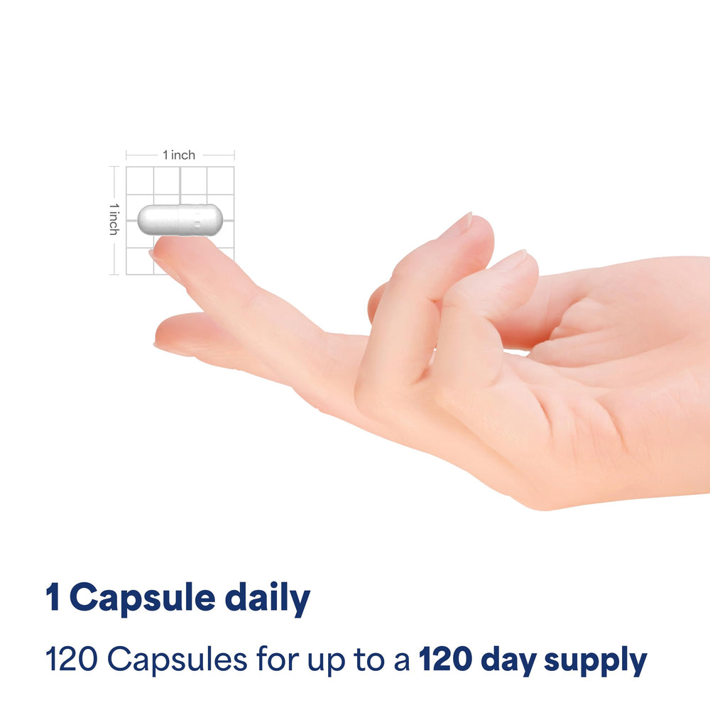 Puritan's Pride sleep aid routine scene supports nightly preparation and rest