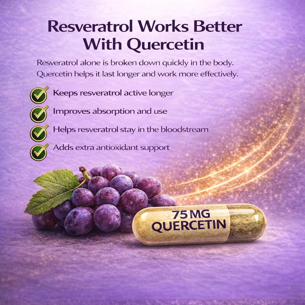 Purity Labs vegan formula packaging highlights gluten-free and preservative-free ingredients.