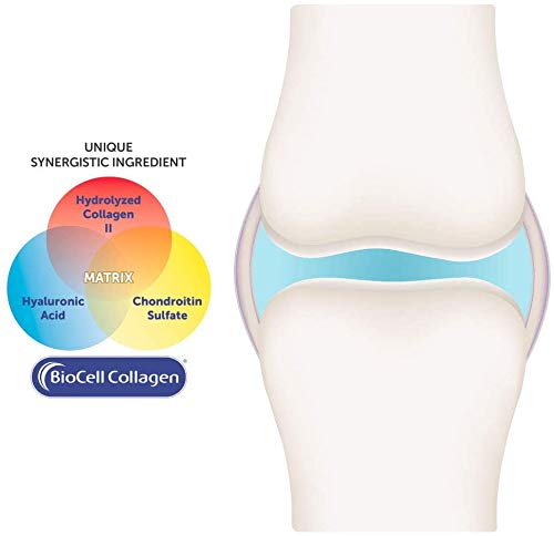 Purity Products Olive Fruit Extract highlighted as a natural antioxidant cofactor for joints.