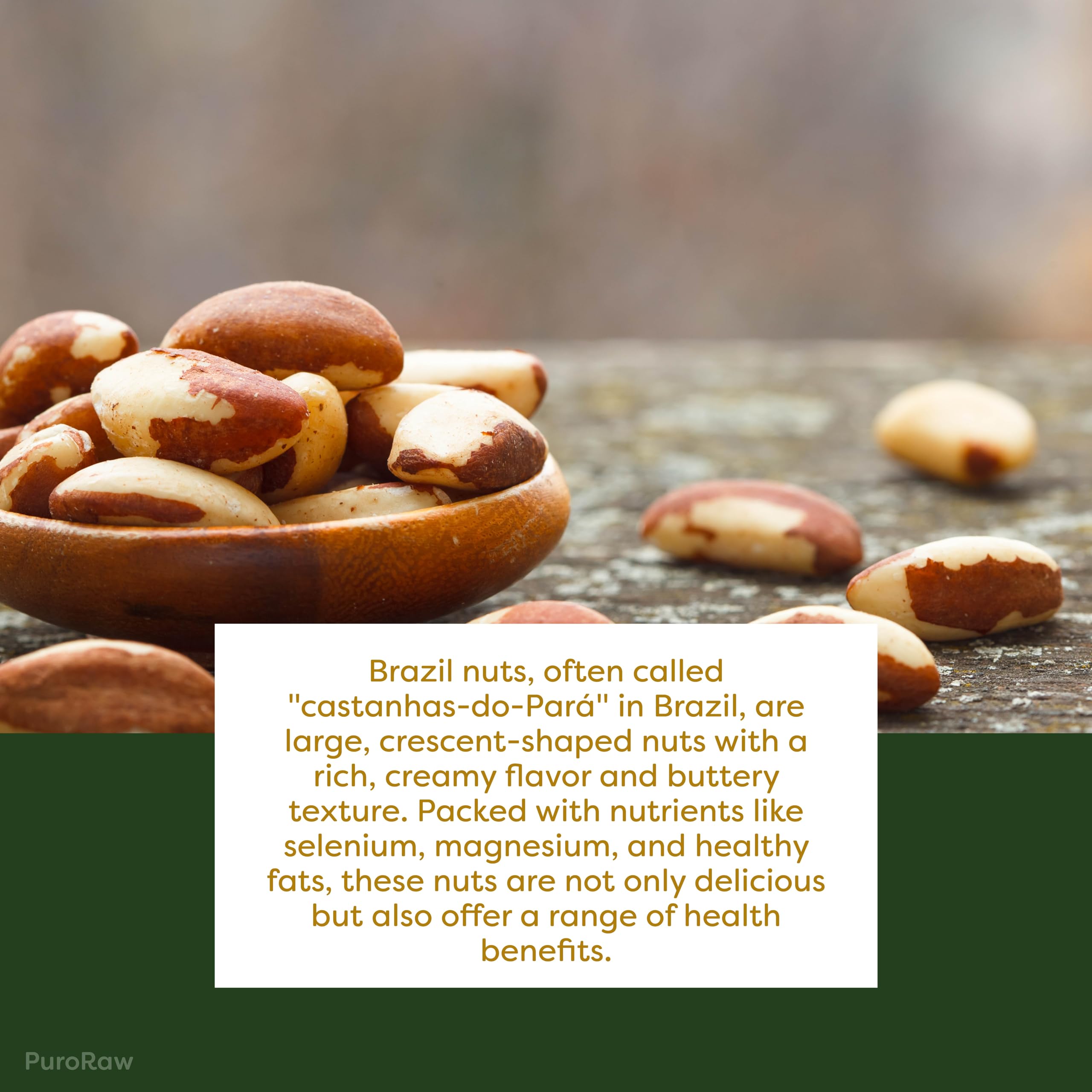 PuroRaw Brazil nuts close-up texture showing smooth, buttery kernels