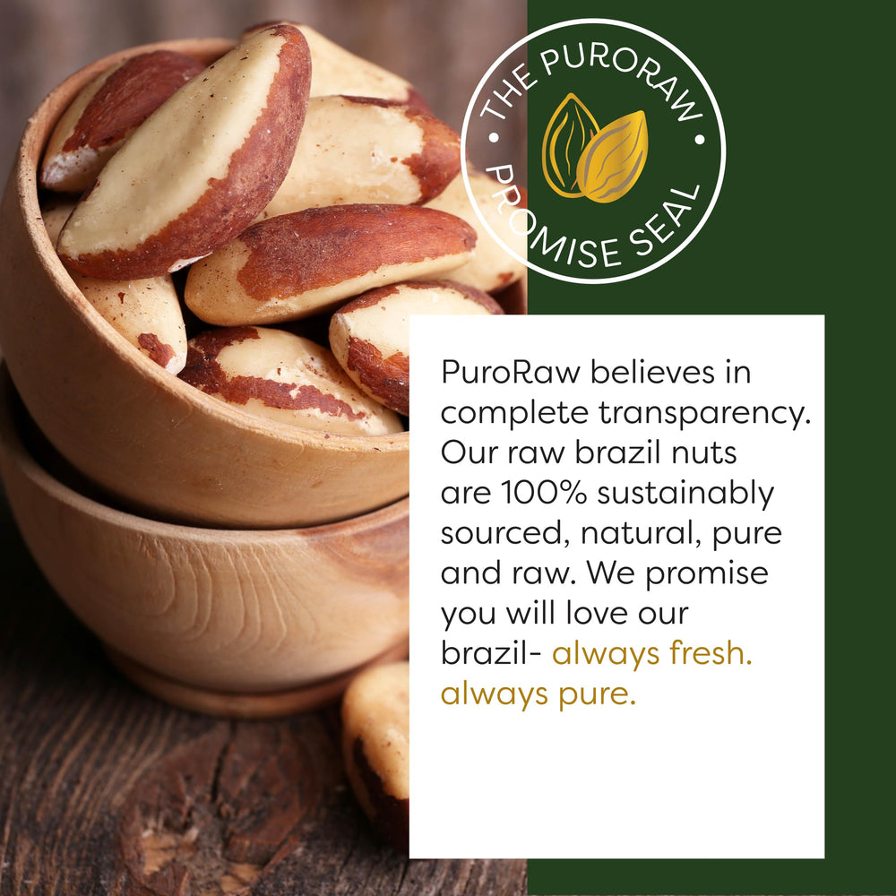 PuroRaw Brazil nuts unsalted raw kernels ready to snack