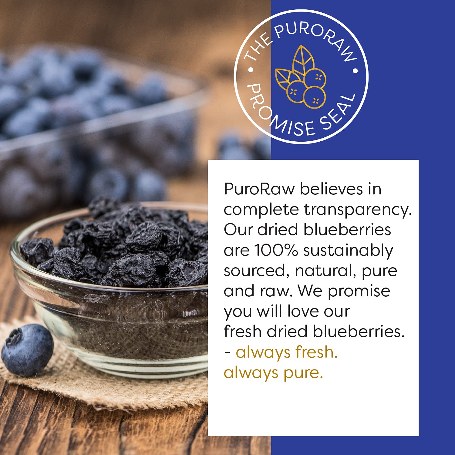 PuroRaw dried blueberries closeup plump berries highlighting natural sweetness for recipes.